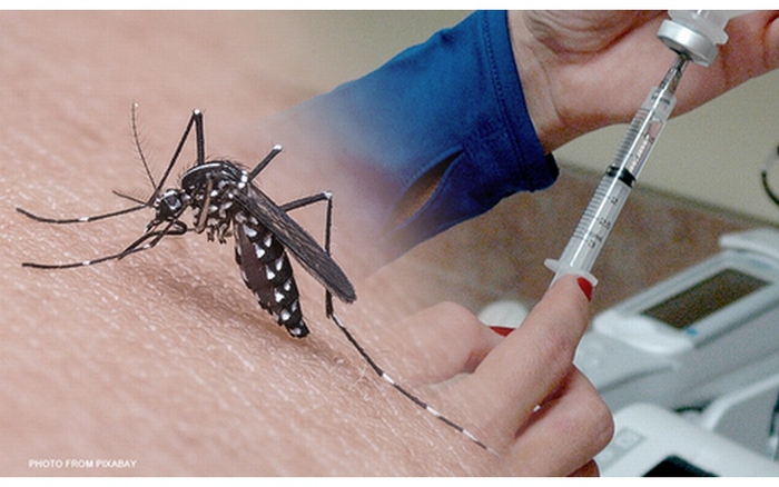 Phòng bệnh sốt xuất huyết